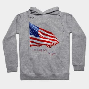 The American flag day Hoodie